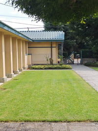 体験記画像 5