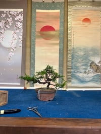 体験記画像 1