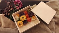 体験記画像 2