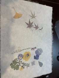 体験記画像 2