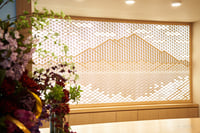 experience-image-10