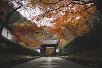experience-image-22