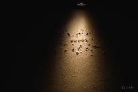 experience-image-18