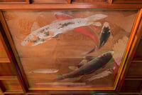 experience-image-11