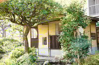experience-image-1