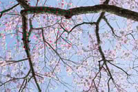 experience-image-3