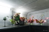experience-image-16