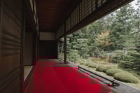 experience-image-14