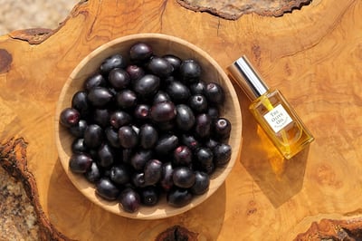 世界が認めた小豆島オリーブオイルを五感で味わい学ぶ特別講座 −日本橋「EnCounter」にて−