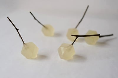 体験の画像
