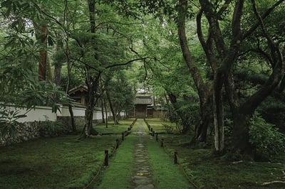 体験の画像