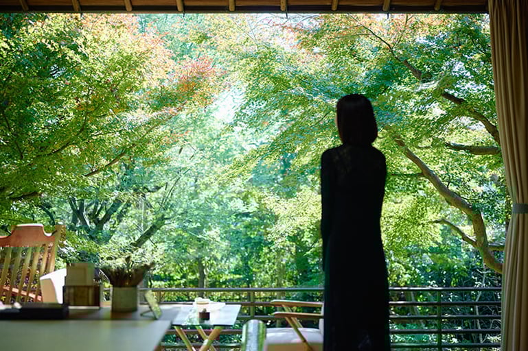 葉山「山口蓬春記念館」解説付きで巡る日本画の世界＆葉山茶寮 六花で味わう旬のランチと限定スイーツ