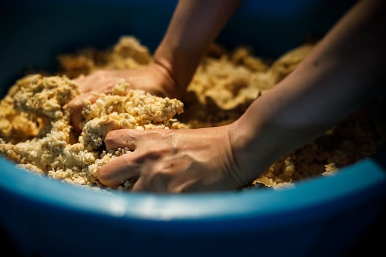 創業330年超の⽼舗「糀屋 ⾬⾵」で味噌づくり＆工場見学 −糀カフェでのランチ付き−