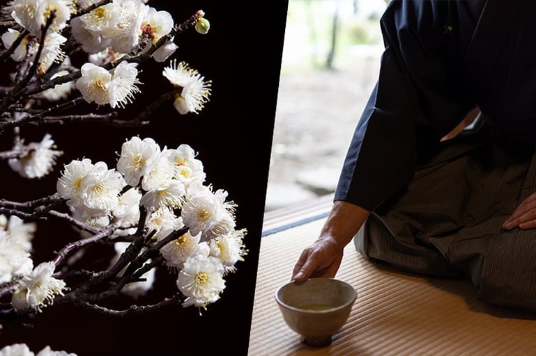 【期間限定】長浜盆梅展の案内付き鑑賞＆遠州流茶道教授者に学ぶ武家茶道 −国指定名勝 慶雲館にて−