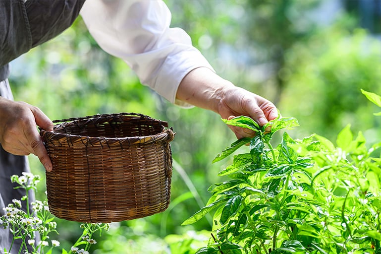 奈良「cofunia」薬草の聖地で心と体をととのえる薬膳鍋体験 −古墳のふもとでリトリート−