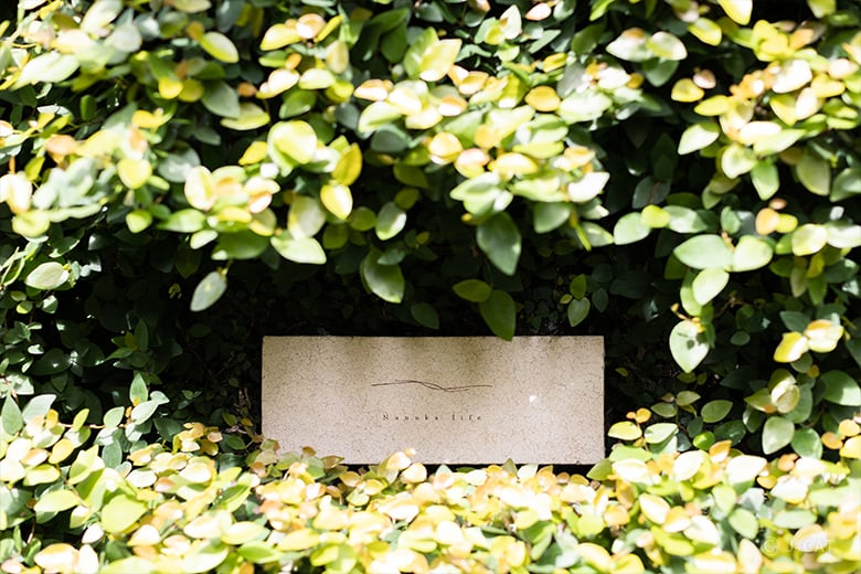 experience-image-22