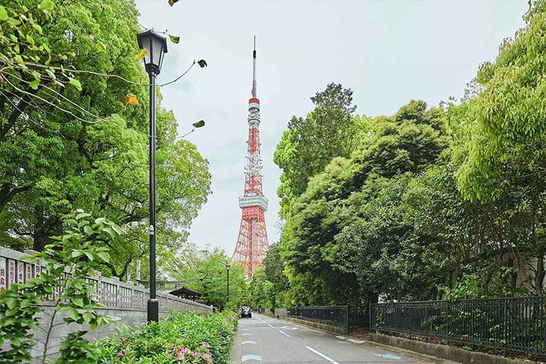 experience-image-12