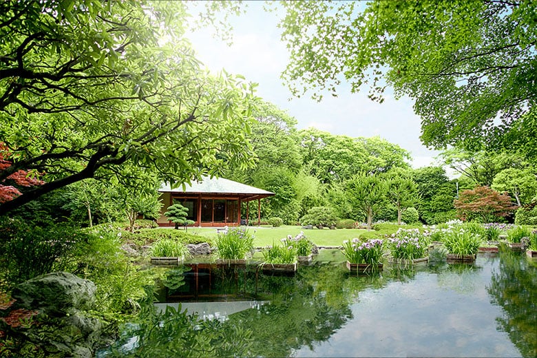 experience-image-4