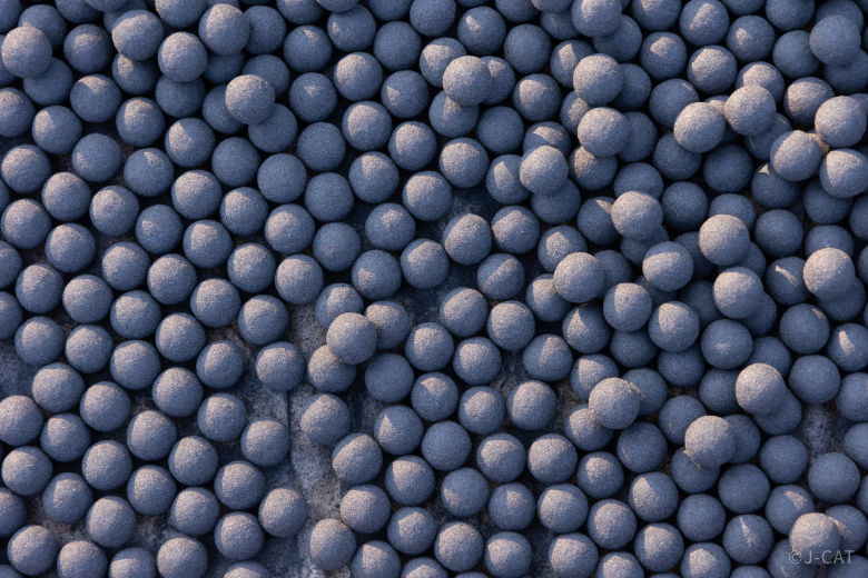 experience-image-24