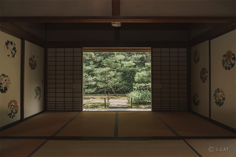 experience-image-5