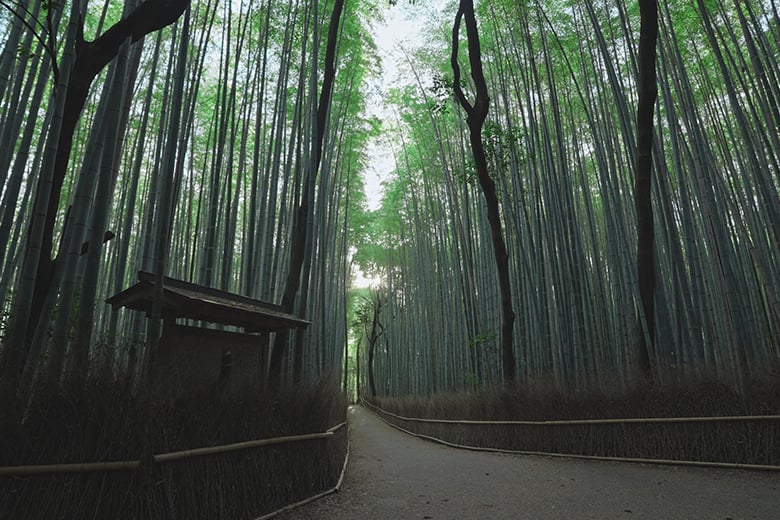 experience-image-8