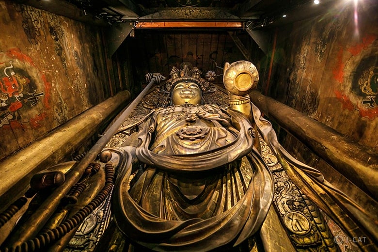 experience-image-1