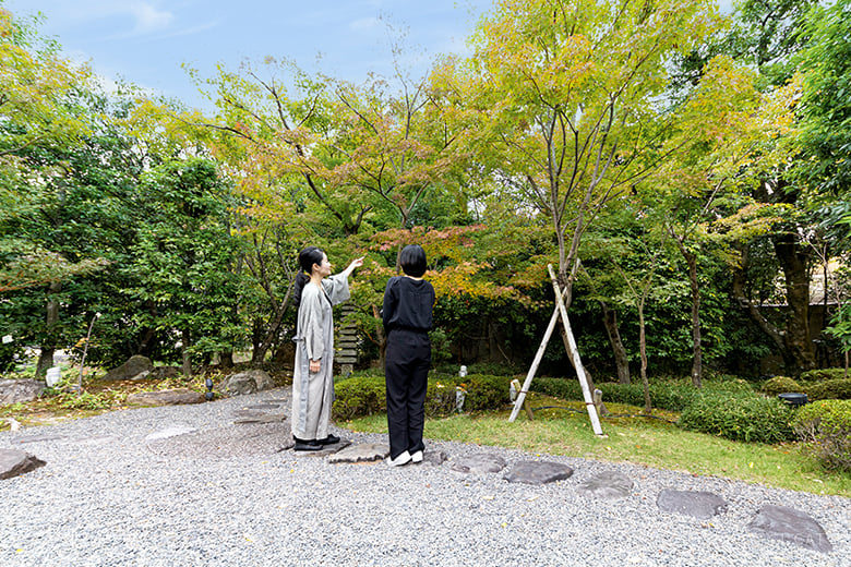 experience-image-12