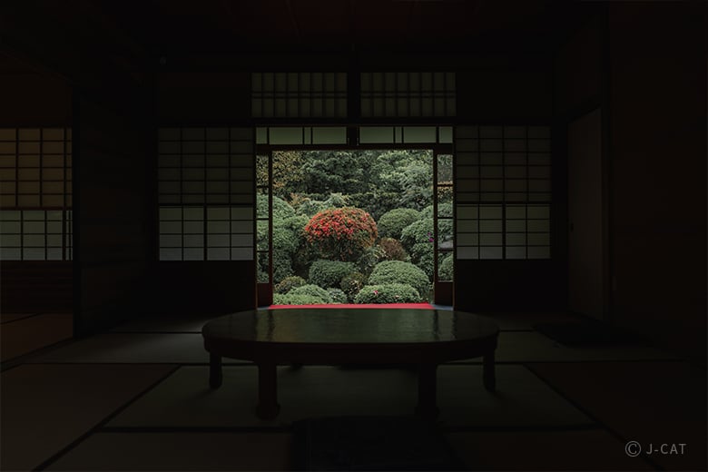 experience-image-17
