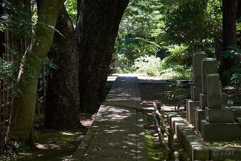experience-image-15