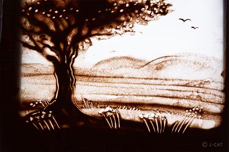 experience-image-11