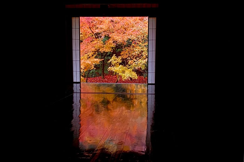 experience-image-8