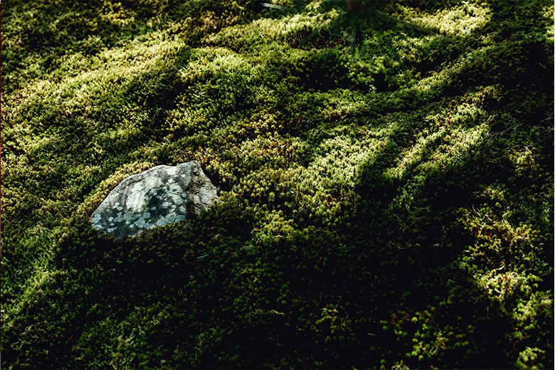 experience-image-13
