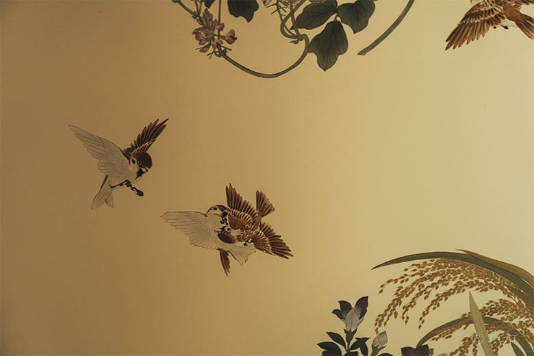 experience-image-10