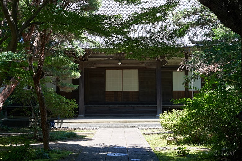 experience-image-12