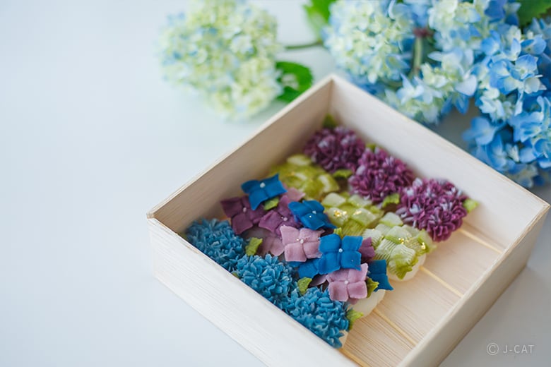 花を模した和菓子「あんこのお花」をつくる 大阪・梅田のアトリエにて