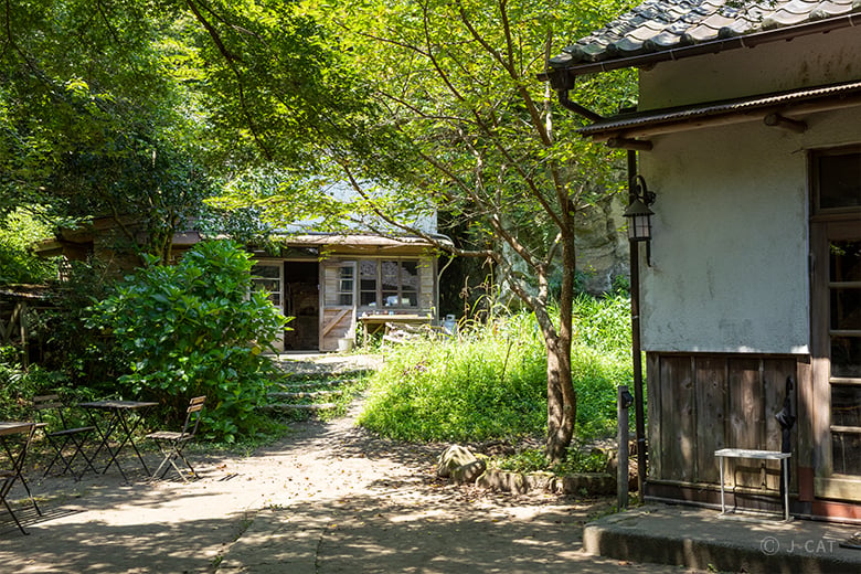 陶芸家に教わる抹茶碗づくり 北鎌倉の陶芸窯「たからの窯」にて