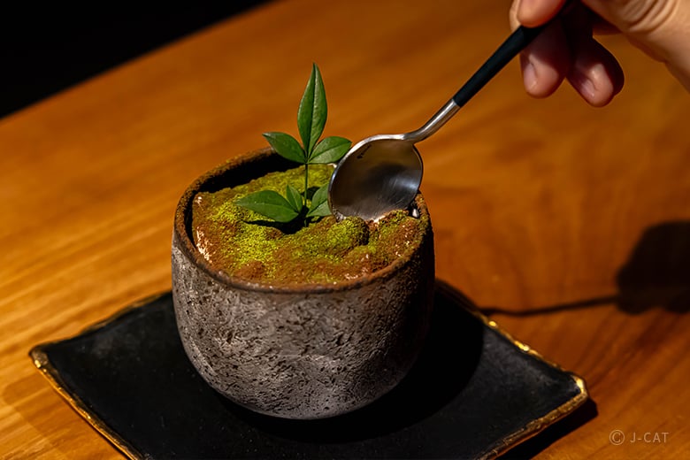 名古屋「彩盆の間」サイフォン専門店でコーヒーの香りと盆栽のある景色