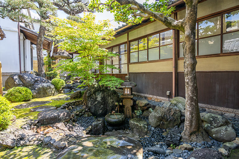 宇治「中村藤吉本店」挽き茶体験と濃茶・薄茶を堪能する季節のお茶