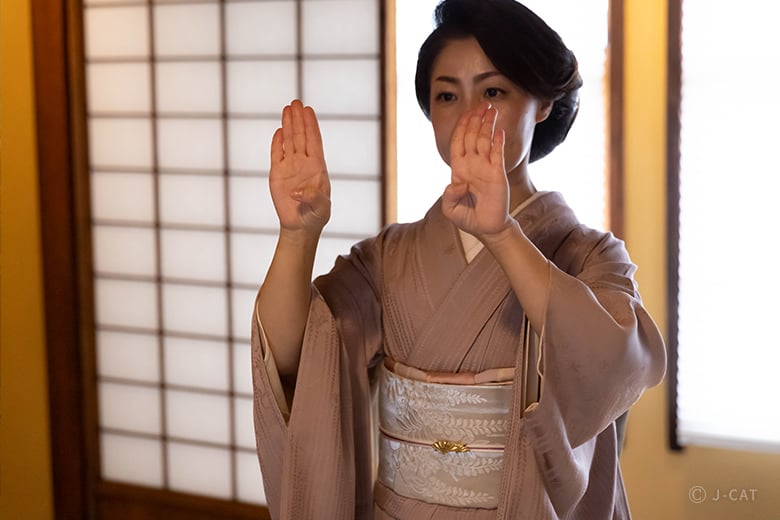 流風の美 [名古屋に生きる狂言装束] 芸艸堂 流風の美 [名古屋に生きる