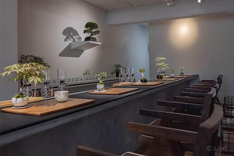 名古屋「彩盆の間」サイフォン専門店でコーヒーの香りと盆栽のある景色