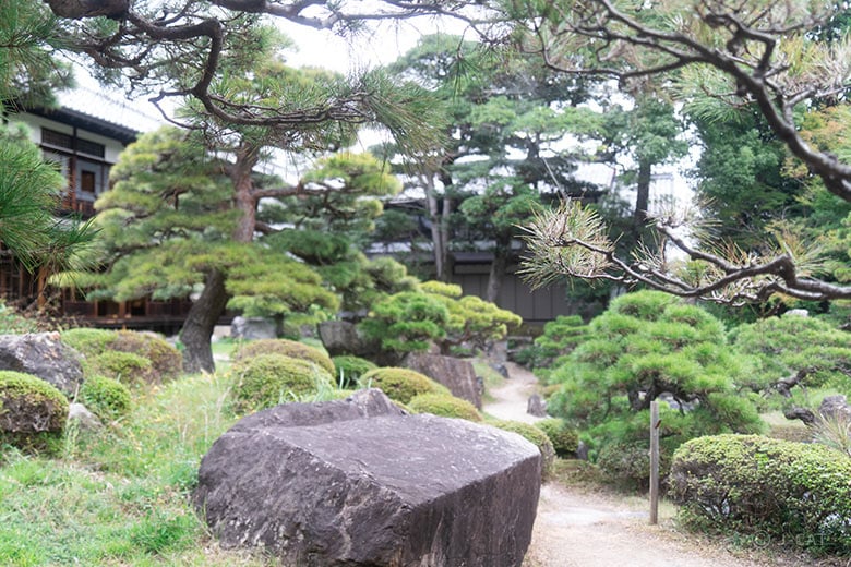 期間限定】長浜盆梅展の案内付き鑑賞＆遠州流茶道教授者に学ぶ武家茶道