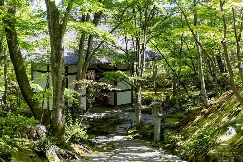 即中斎利写茶杓『夏山』嵯峨宝筐院竹似　小楠公六百年記念　菊唐草蒔絵　二重箱 京都・嵯峨野の名刹で和歌と美術品の世界に耽る −美術商による