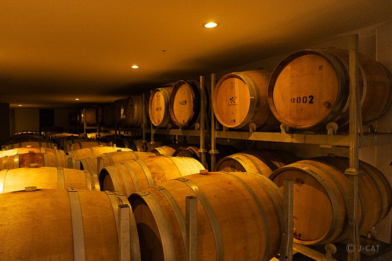 勝沼「シャトー・メルシャン」日本ワインの原点を学ぶワイナリーツアー