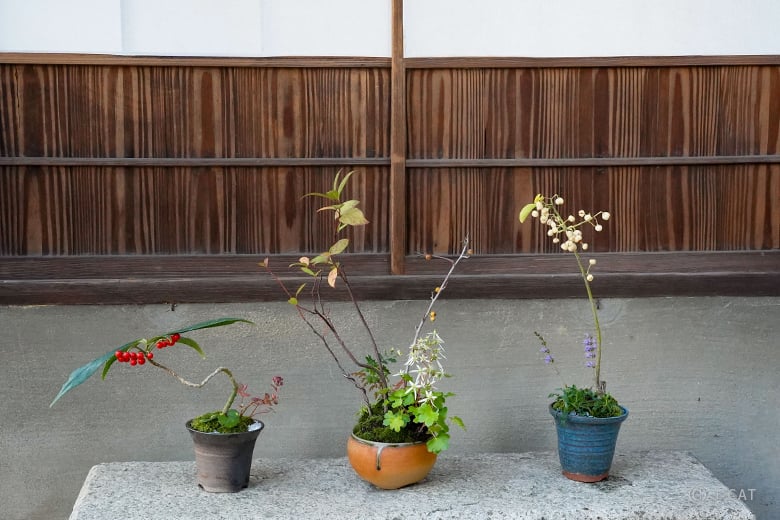 名古屋「文化のみち橦木館」文化財指定の茶室で盆栽作りと植苔体験