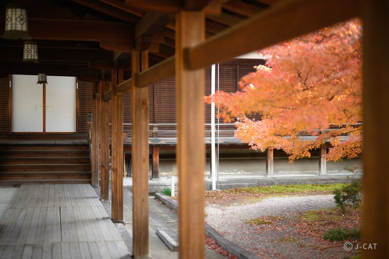 京都東寺 1500年歳に観智院に奉納品 明治17年共箱付 寄付品 東寺印
