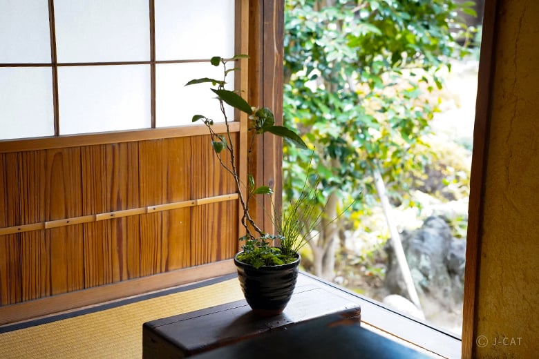 名古屋「文化のみち橦木館」文化財指定の茶室で盆栽づくり