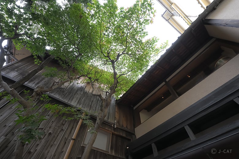 茶藝師に学ぶ中国茶＆日本茶講座 祇園「hakubi」にて