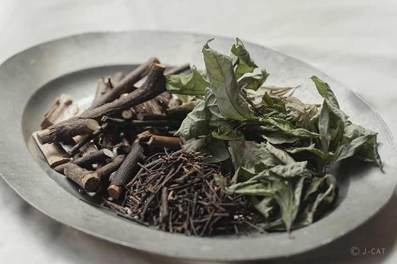 植物療法のアロマテラピー 植物療法士に学ぶハーブの力で心身を整える知恵 和精油ブレンド体験