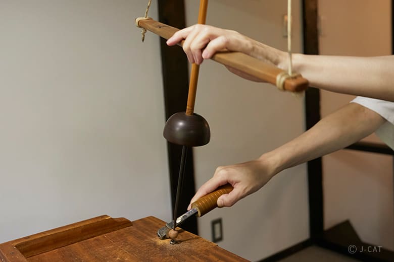 年代物の観賞木 ☆東ドイツ/ヴィンテージ植物図鑑/子供のための植物と園芸の図鑑/1985年/