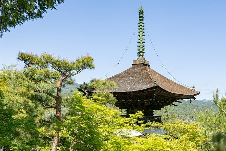 即中斎利写茶杓『夏山』嵯峨宝筐院竹似　小楠公六百年記念　菊唐草蒔絵　二重箱 京都・嵯峨野の名刹で和歌と美術品の世界に耽る −美術商による